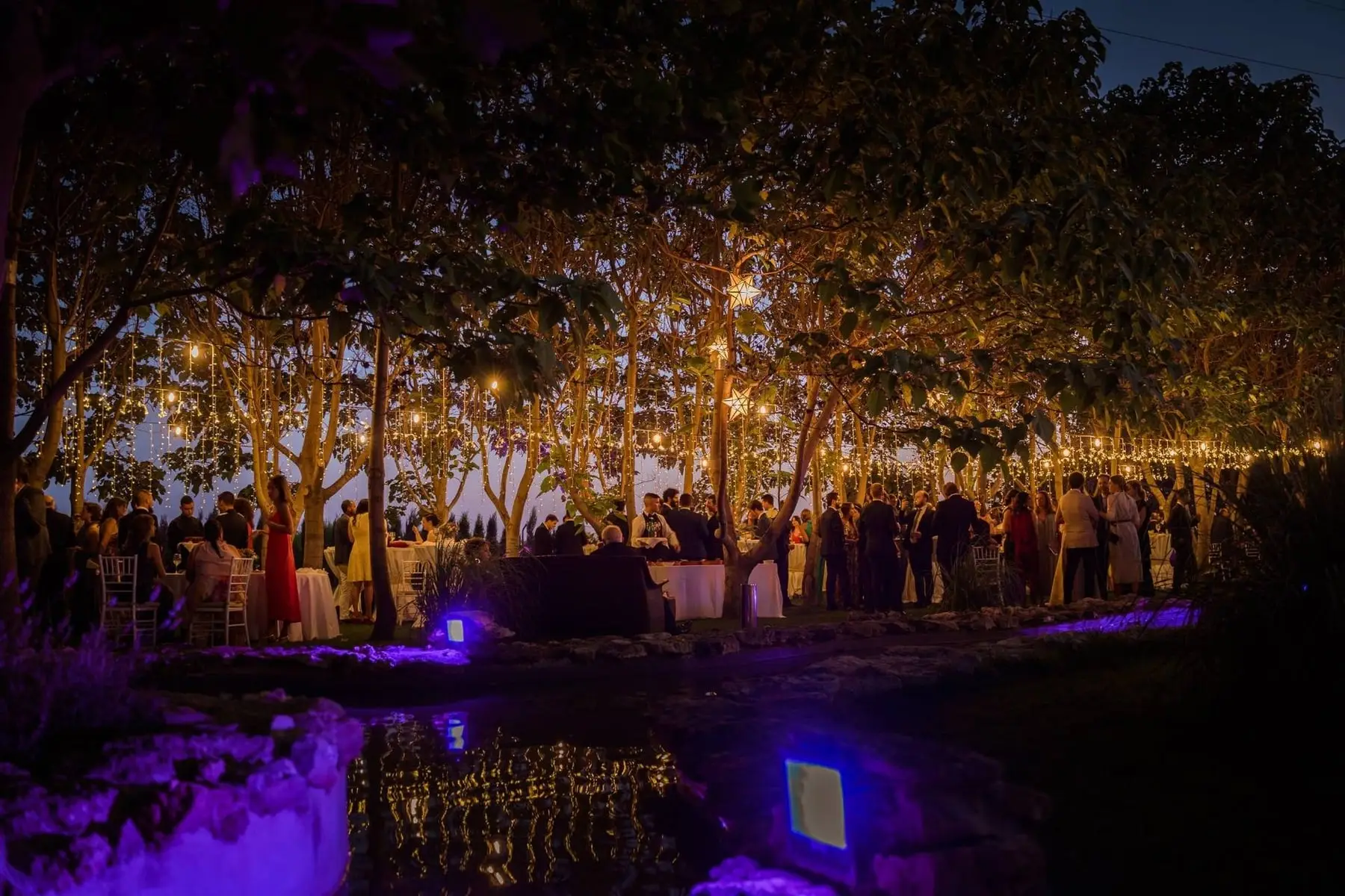 La fiesta de noche bajo los árboles iluminados, junto al estanque